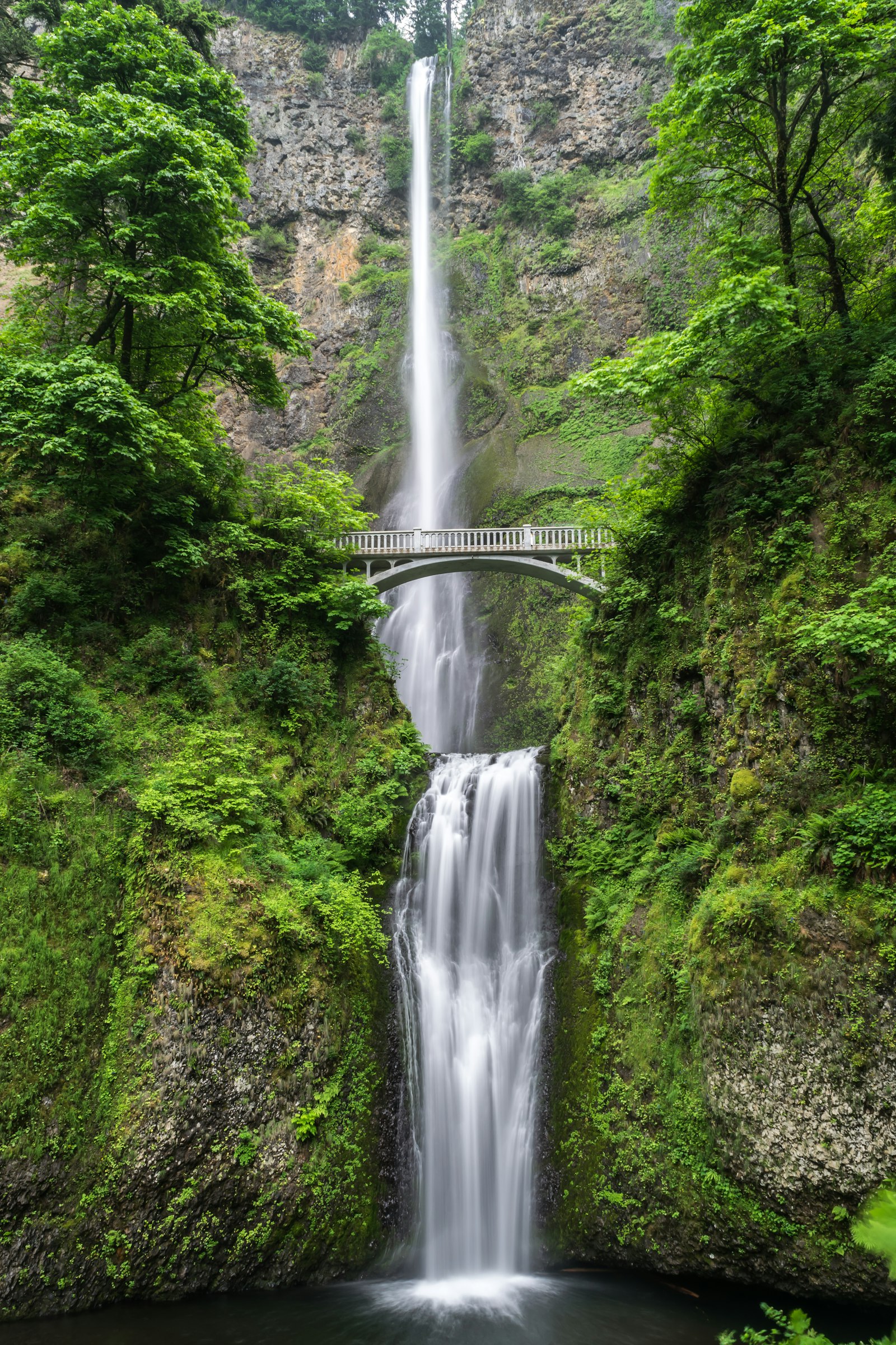 A waterfall and footbridge surrounded by green forest